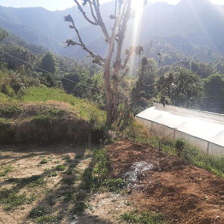 Parvatiya Homestay Mussoorie Eksteriør billede
