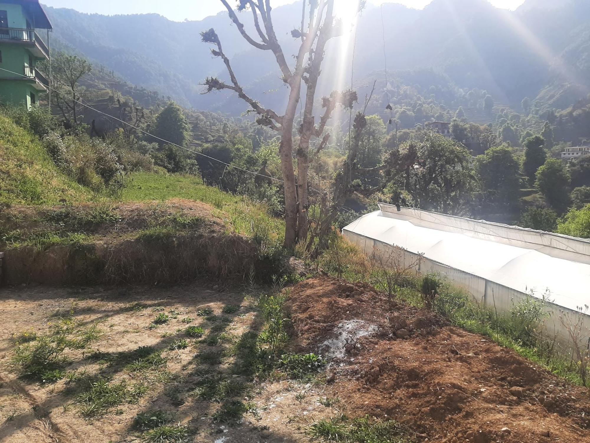Parvatiya Homestay Mussoorie Eksteriør billede